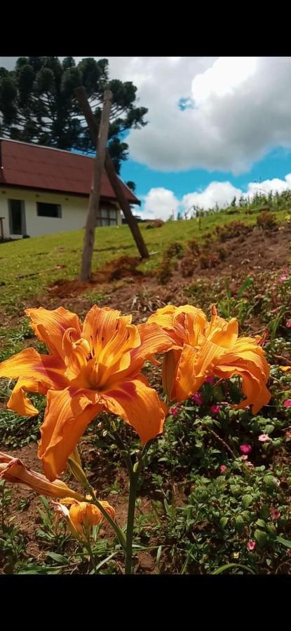 Villa Chale Com Vidros E Hidromassagem São Bento do Sapucaí Esterno foto