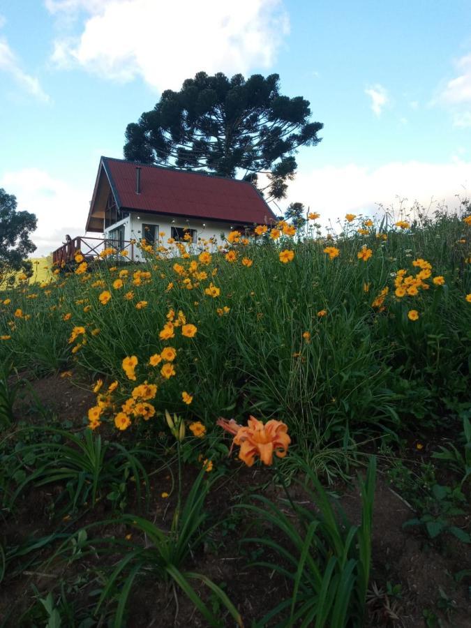 Villa Chale Com Vidros E Hidromassagem São Bento do Sapucaí Esterno foto